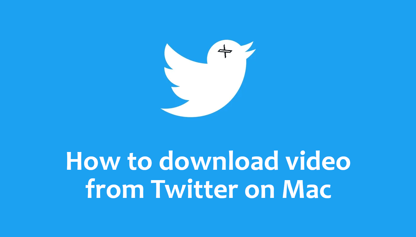 как скачать видео из твиттера на Mac